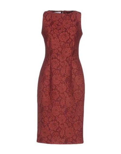 Shop Ainea Knee-length Dress In Maroon