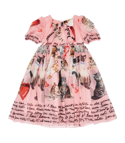 Shop Dolce & Gabbana Cat Print Silk Dress With Bloomers In Multi