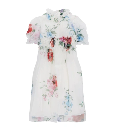Shop Dolce & Gabbana Floral Print Chiffon Dress In Multi