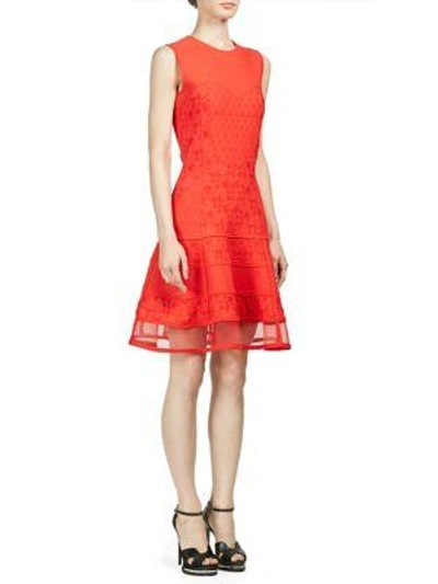 Shop Alexander Mcqueen Floral Embroidered Dress In Lust Red