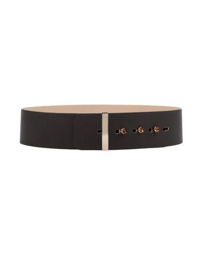 Shop Atos Lombardini Belts In Dark Brown