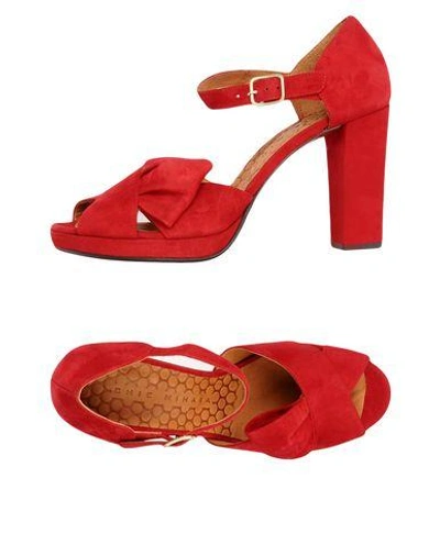 Shop Chie Mihara Sandals In Brick Red