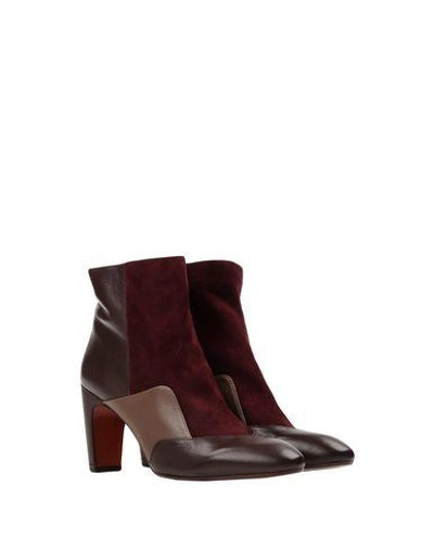 Shop Chie Mihara Ankle Boot In Deep Purple