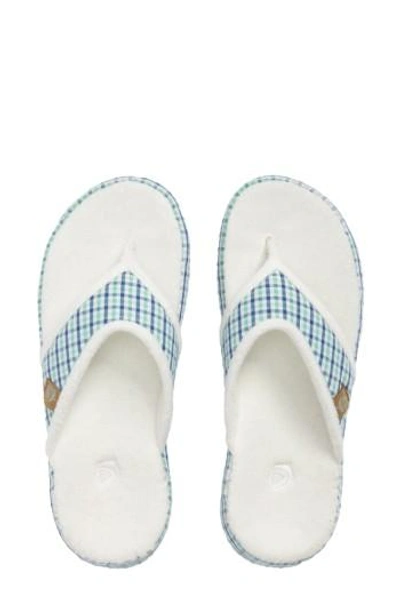 Shop Acorn 'summerweight' Slipper In Blue Plaid Fabric