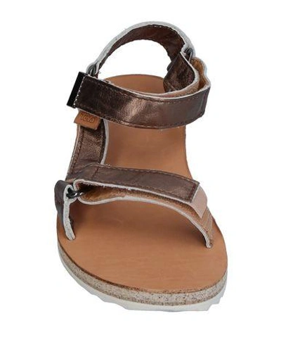 Shop Teva Sandals In Bronze