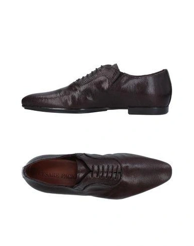 Shop Cesare Paciotti Laced Shoes In Dark Brown