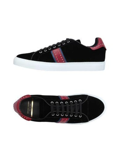 Shop Cesare Casadei Sneakers In Black