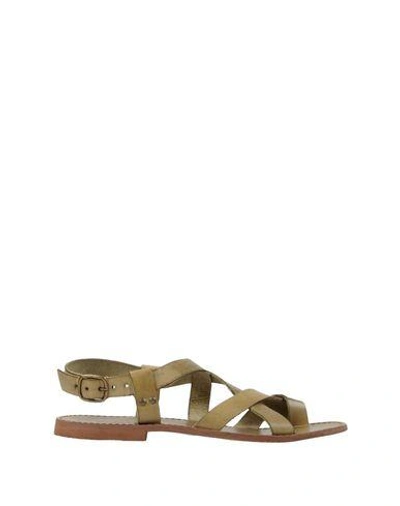 Shop Attimonelli's Flip Flops In Military Green