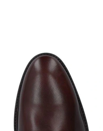 Dino Draghi Laced Shoes In Dark Brown | ModeSens