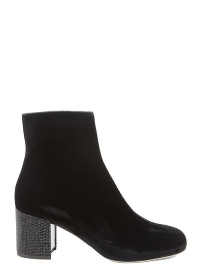 Shop René Caovilla Ankle Boots In Black