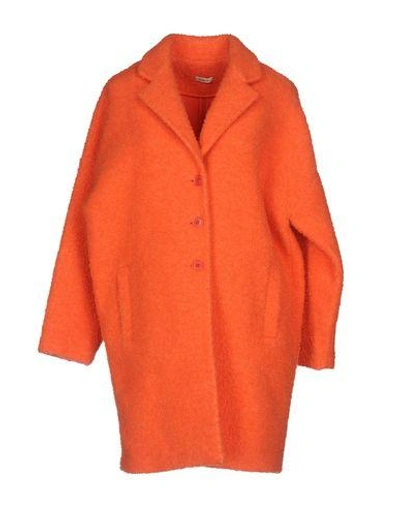 Shop P.a.r.o.s.h Coat In Orange