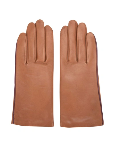 Shop Agnelle Gloves In Brown