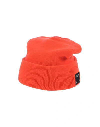 Shop Wize & Ope Hat In Red