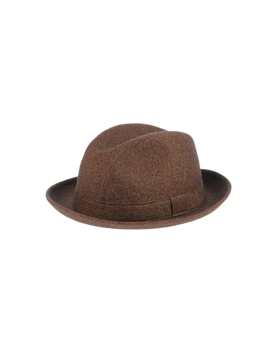 Shop Barbisio Hat In Brown