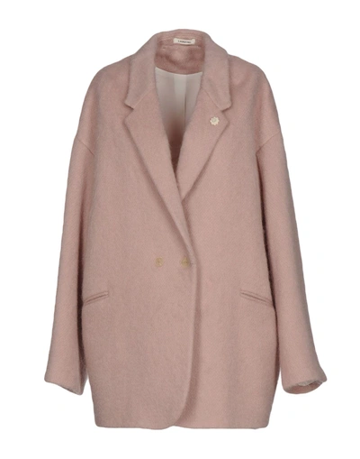 Shop Lardini Coats In Light Pink