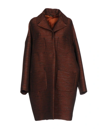 Shop Ibrigu Coats In Brown