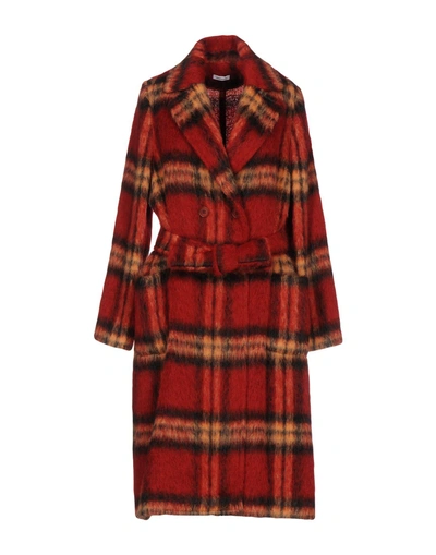Shop P.a.r.o.s.h Belted Coats In Brick Red