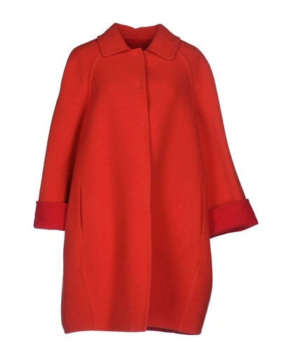 Shop Gianluca Capannolo Coats In Red