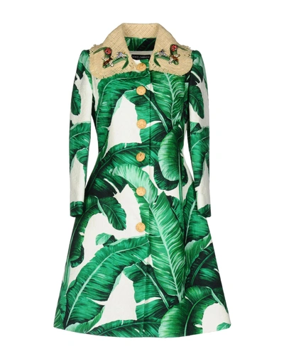 Shop Dolce & Gabbana Coats In Green