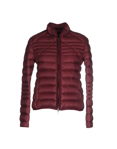 Shop Mauro Grifoni Down Jacket In Maroon