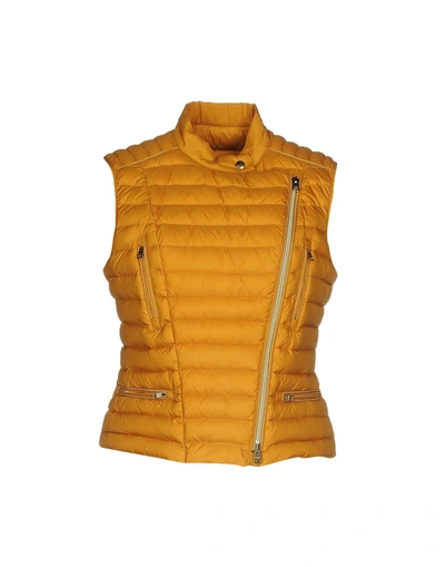 Shop Allegri In Ocher