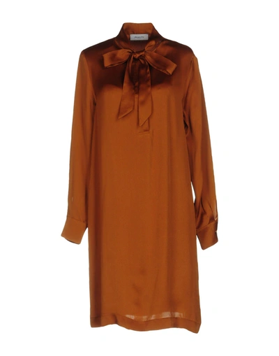 Shop Aglini Shirt Dress In Brown