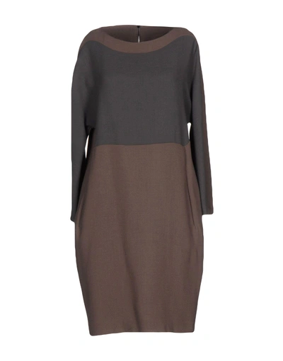 Shop Antonelli Short Dresses In Light Brown