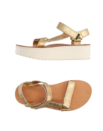 Shop Teva Sandals In Gold