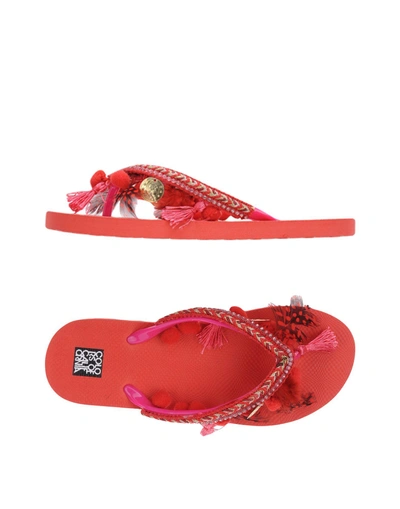 Shop Colors Of California Toe Strap Sandals In Red