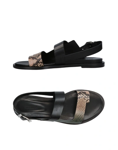 Shop Vic Matie Toe Strap Sandals In Dove Grey