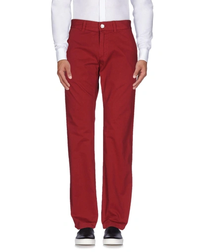 Shop Billionaire Man Pants Burgundy Size 46 Cotton In Red