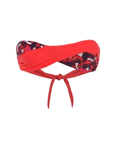 Shop Lisa King Swimwear And Surfwear In Red