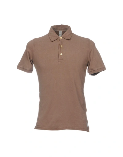 Shop Authentic Original Vintage Style Polo Shirt In Cocoa