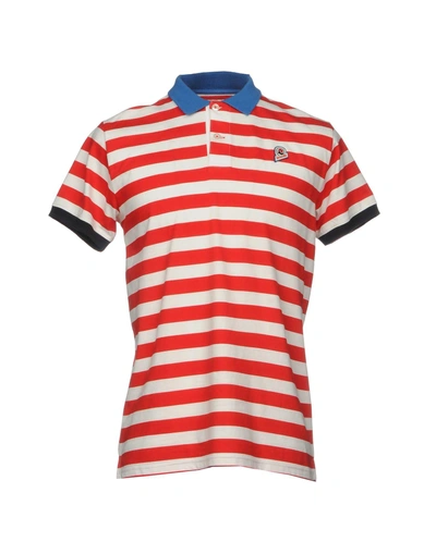 Shop Invicta Man Polo Shirt Red Size L Cotton