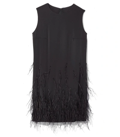 Shop Saloni Black Ophelle Feather Dress