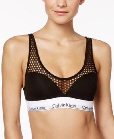 Calvin Klein modern cotton push up bralette in black