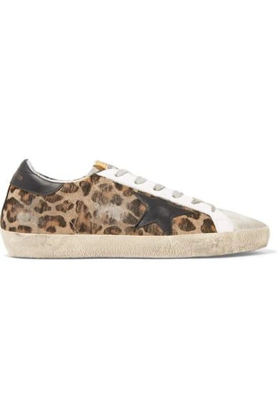 Shop Golden Goose Superstar Distressed Leather And Calf Hair Sneakers In Leopard Print