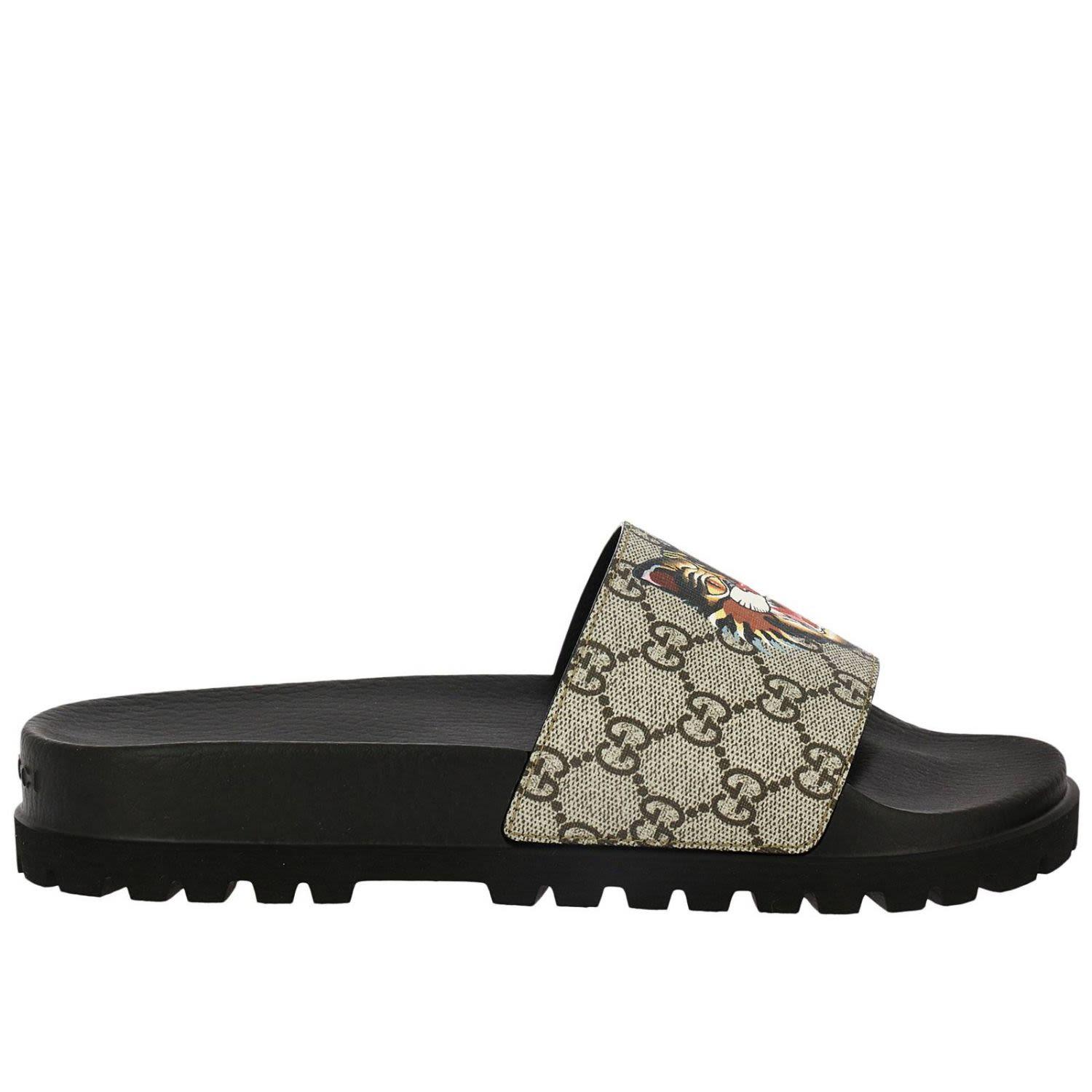 gucci slides angry cat