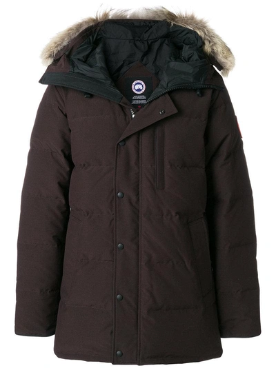 Shop Canada Goose Padded Button Down Jacket With Fur Collar