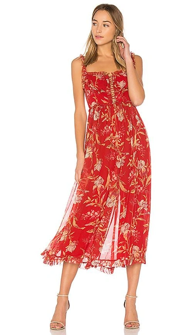 Shop Zimmermann Corsair Iris Corset Jumpsuit In Red