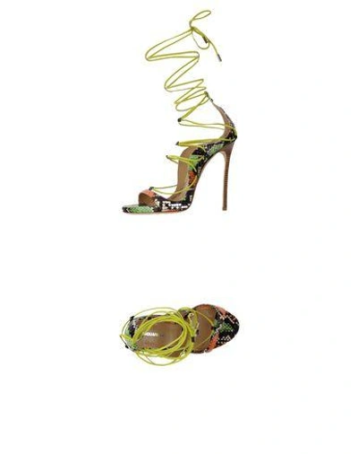 Shop Dsquared2 Sandals In Light Green