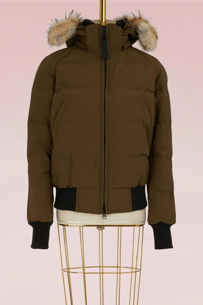 Savona Bomber Black Label In Military Green