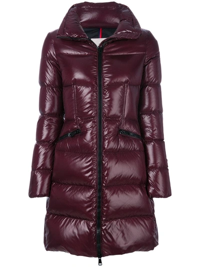 Jasminum moncler online