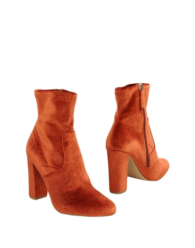 Shop Steve Madden Ankle Boot In Rust