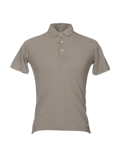 Shop Authentic Original Vintage Style Polo Shirts In Grey