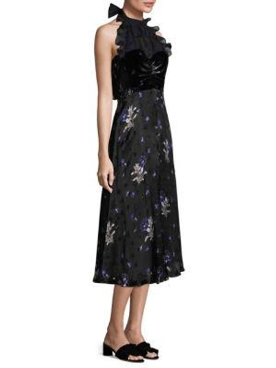 Shop Rebecca Taylor Silk Velvet Halter Dress In Black Combo