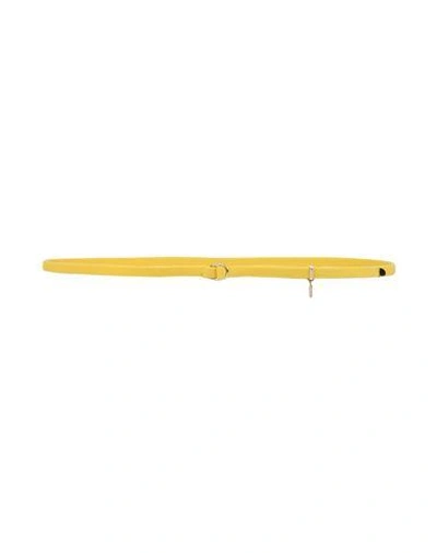 Shop Malo Thin Belt In Yellow