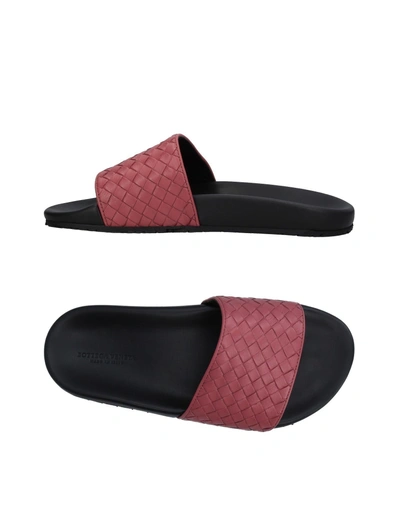 Shop Bottega Veneta Sandals In Pastel Pink