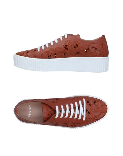 Shop Pinko Sneakers In Brown
