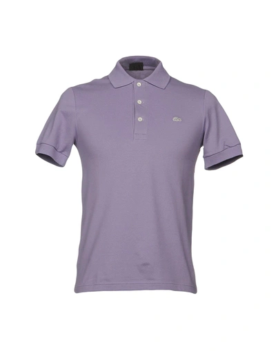 Shop Lacoste Polo Shirt In Light Purple